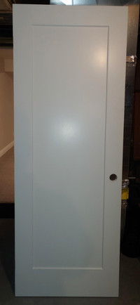 Interior Door 30 X 80 in.