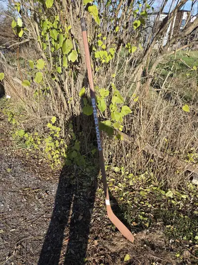 Sherwood Hockey Stick, View more