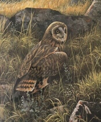 Robert Bateman - signed numbered framed print of owl in Arts & Collectibles in Oshawa / Durham Region - Image 2