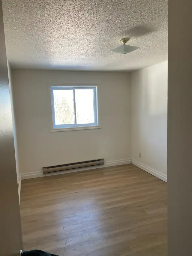 Spacious Room for Rent - Available immediately!!