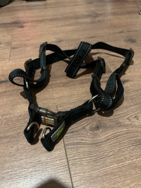 Go Fresh Pet Large Dog Harness