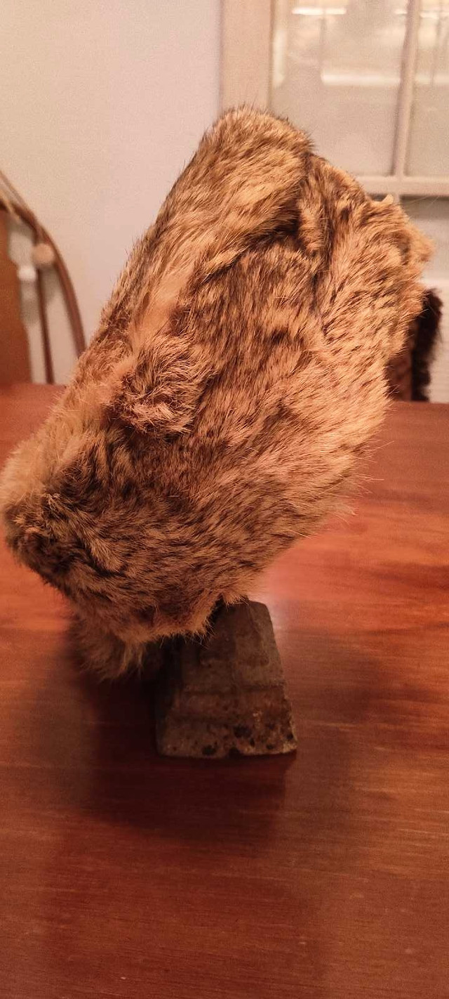 Real Vintage Raccoon Tail Hat in Arts & Collectibles in Peterborough - Image 2