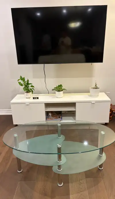 Modern Oval Glass Coffee Table with Frosted Lower Shelf & Chrome, View more