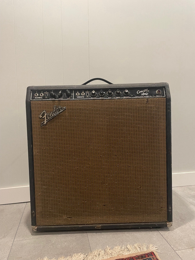 1960’s fender concert amp  in Amps & Pedals in City of Toronto