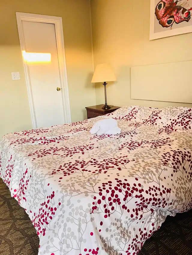Rooms for rent in Room Rentals & Roommates in St. Catharines - Image 5