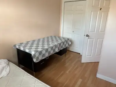 1440 21 ave nw Main floor room close to SAIT one room available in May 1,shared 2 bath rooms living...