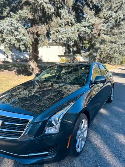Recently serviced, all fluids replaced, the car is mechanically perfect. Rebuilt status.