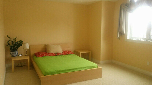 off campus housing kitchener/cambridge/conestoga college in Long Term Rentals in Kitchener / Waterloo - Image 2