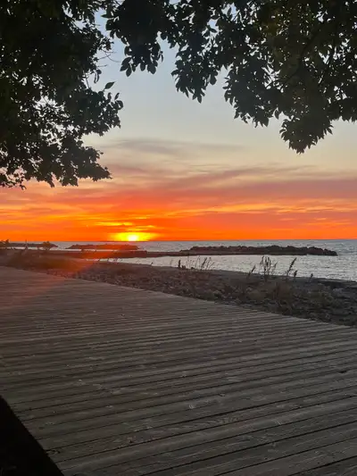 Rare opportunity to live in Toronto’s best waterfront neighbourhood!!! Cozy furnished one bedroom in...
