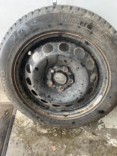 Set of 4 Kumho winter craft ice wi31 on Steel rims 205/55/16 Almost brand new used one season. Can f...