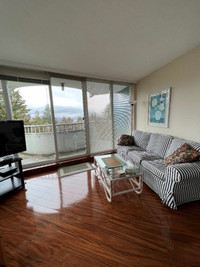 ONE BEDROOM FURNISHED VIEW APARTMENT UBC May 1 until August 31