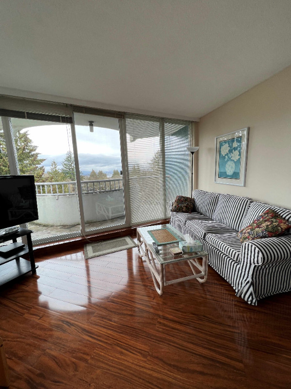 ONE BEDROOM FURNISHED VIEW APARTMENT UBC May 1 until August 31 in Short Term Rentals in UBC