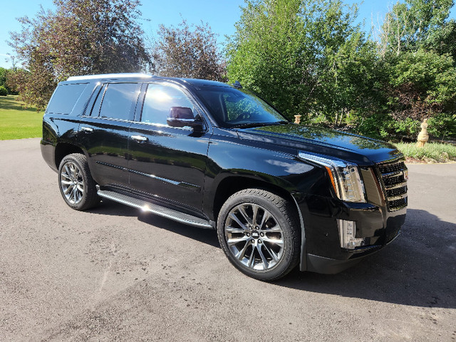 2020 Cadillac Escalade Premium Luxury in Cars & Trucks in Calgary - Image 3