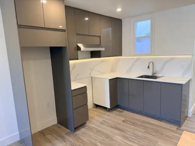 3½ Entièrement rénové – Rue Masson (Rosemont)