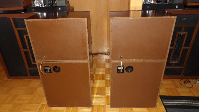 Sony SS-S1000WR speakers, CONSIDERING TRADES in Speakers in Gatineau - Image 4