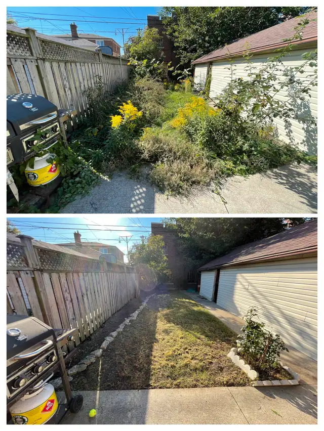 Offering lawn mowing services62864356502786125
