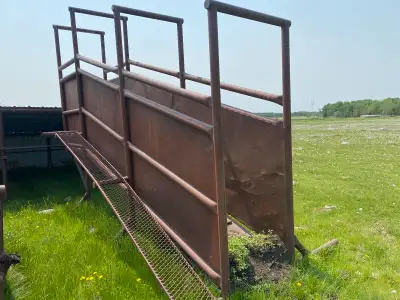 cattle handling equipment, View more