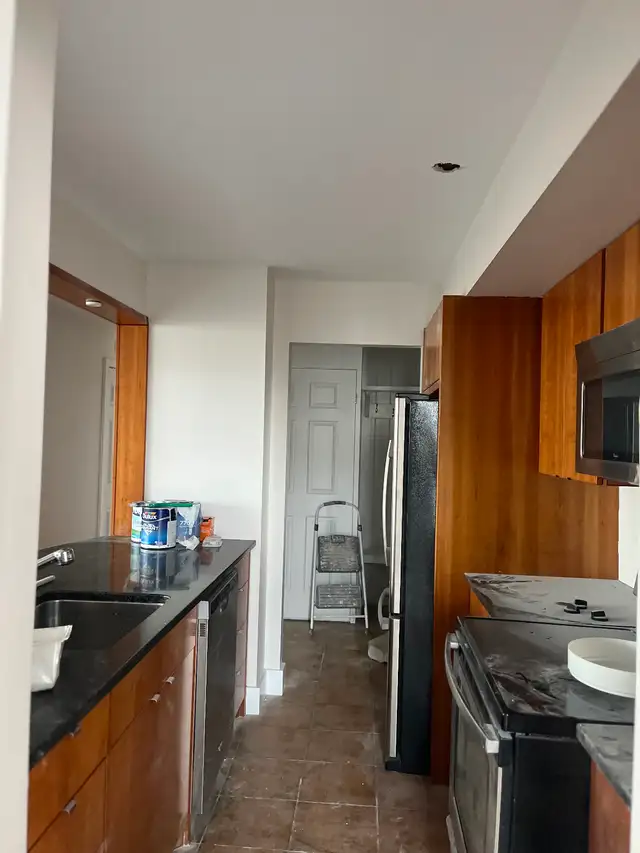 Professional Painter487253617956638723