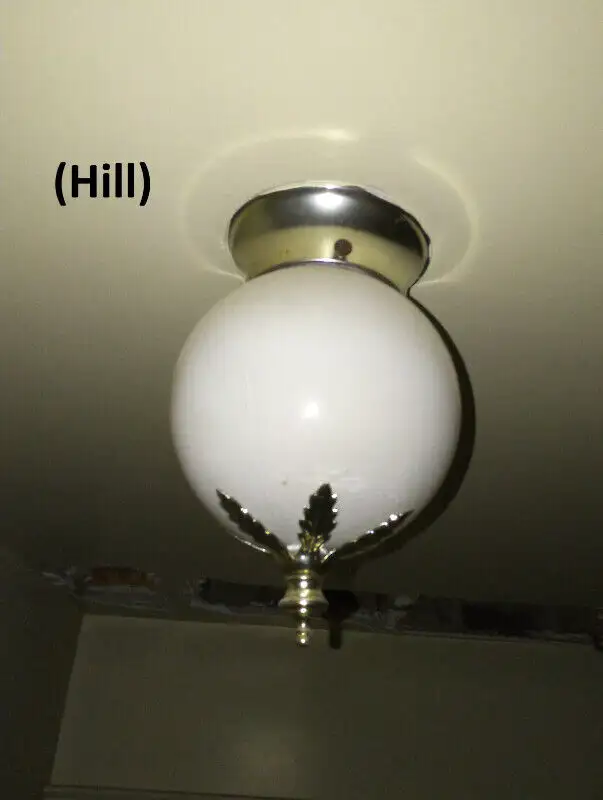 Retro Light Fixture - Indoor, Ceiling, White Ball & Gold Leafs in Indoor Lighting & Fans in Markham / York Region - Image 3