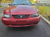 Headlights for 99-04 Mustang