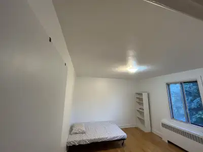 Furnished big room from a 3 1/2 appartment. Spacious closet. Heating and internet included Completel...