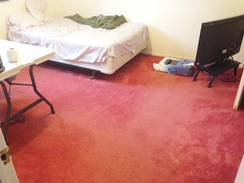 Fast to Carleton, downtown, University of Ottawa Room Rentals & Roommates Ottawa Kijiji