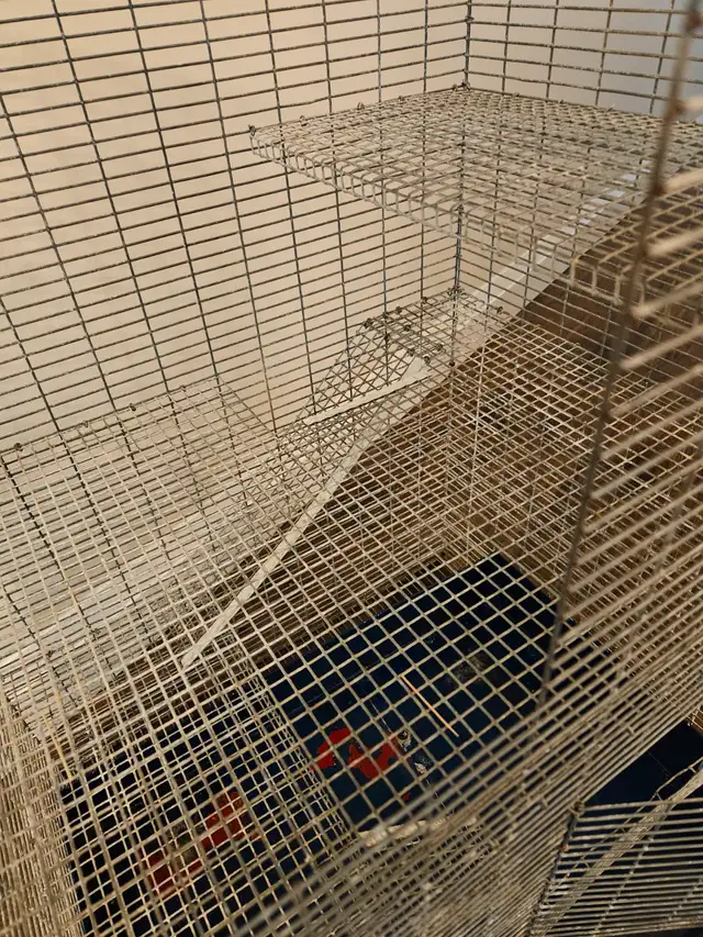 Chinchilla Cage $35 in Accessories in City of Toronto - Image 3