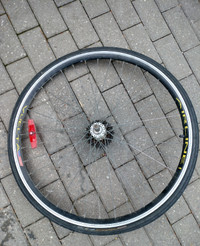 Rear VUELTA Bicycle Wheel | 7-speed Freewheel | Double-Walled