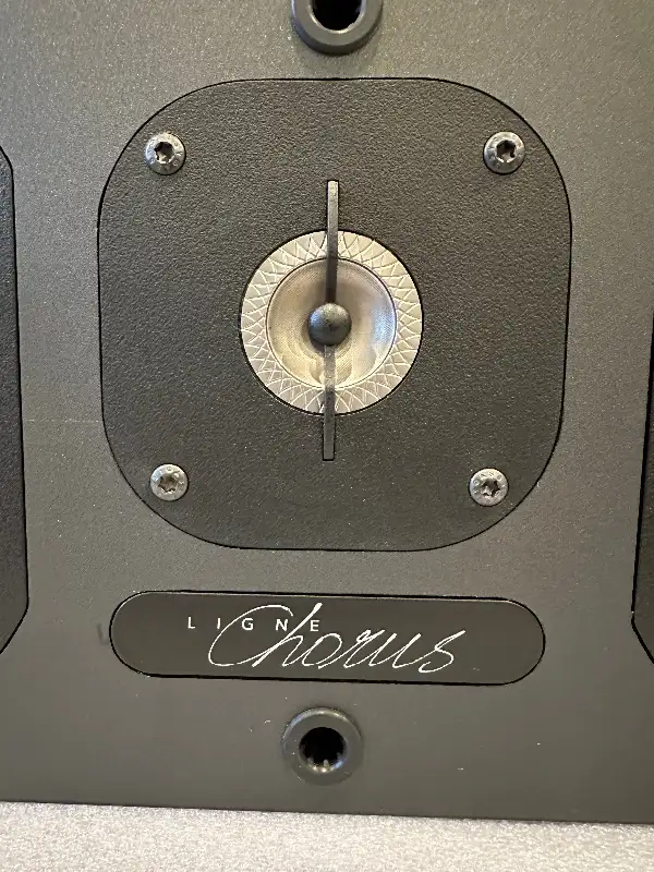 Speaker in Speakers in Markham / York Region - Image 10