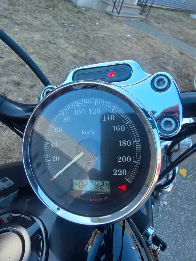 2007 Harley Davidson Sportster 883 in Street, Cruisers & Choppers in Saint John - Image 4