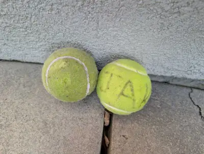Wilson Tennis Ball, View more
