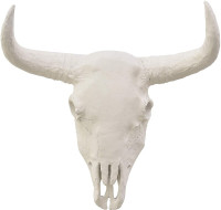 Ornamental Bull Skull