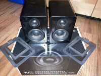 Kantos YU2 Speakers with Stands...