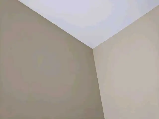 painter available 63611974181377120