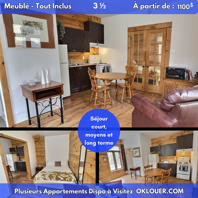 APPARTEMENT TOUT INCLUS-MEUBLÉ 1 CHAMBRE 3 1/2 A SAINT-ROCH