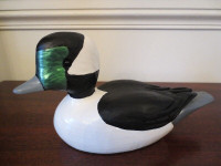 Wood Bufflehead Duck