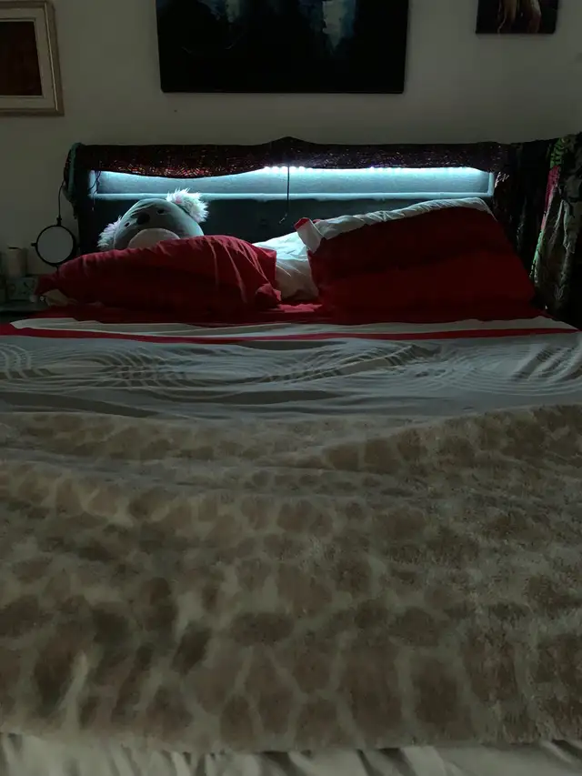 Lit queen avec matelas in Beds & Mattresses in City of Montréal - Image 2