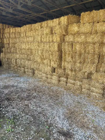 small bales of straw , View more