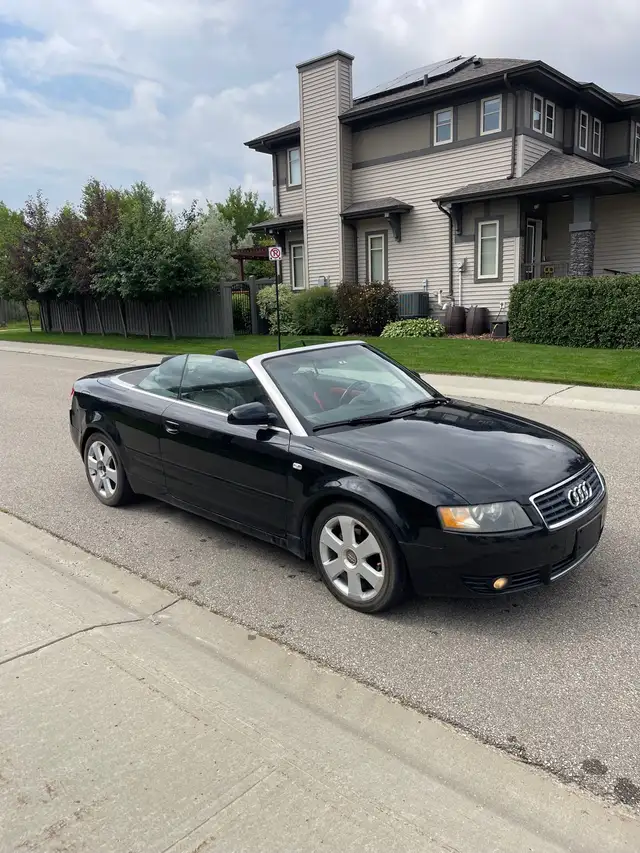 2005 Audi A4506741246490071043