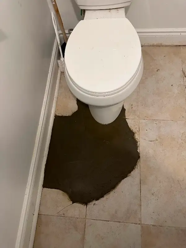 PLUMBING SERVICE, DRAIN REPAIR, DRAIN SNAKE 647-785-5500 in Plumbing in City of Toronto - Image 8