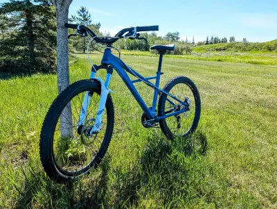 Custom XC Hardtail mountain bike, View more