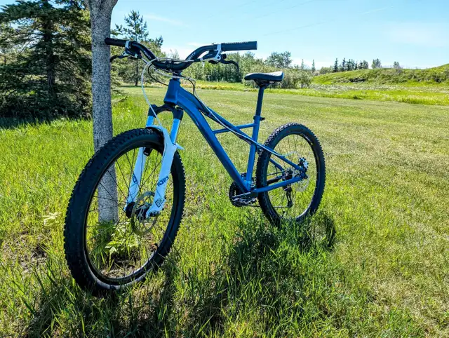 Custom XC Hardtail mountain bike in Mountain in Strathcona County - Image 2