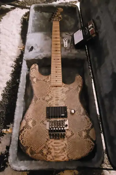 This amazing piece was built by a luthier right here in Ontario. It features an '87-'88 Charvel Mode...