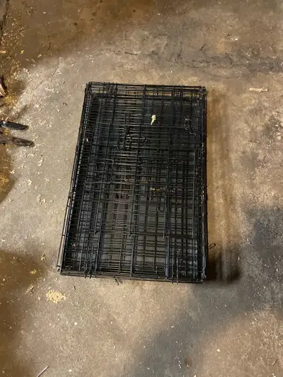 small dog crest, View more