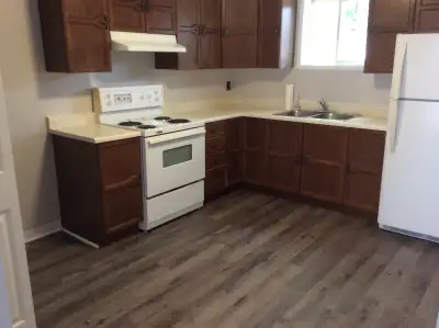 Newly Renovated One Bedroom Apartment In Beautiful Renfrew!! -Available for rent December 1, One bed...