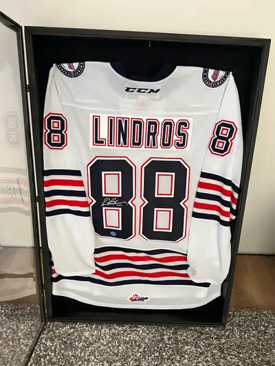 Homemade shadow box with hinged plexiglass front door for easy access. **WILL DELIVER TO CALGARY ARE...