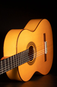 Guitare Flamenco