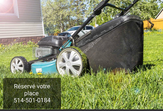 Coupe de gazon⭐️ BAS PRIX⭐️lawn mowing  dans Décoration extérieure  à Ville de Montréal