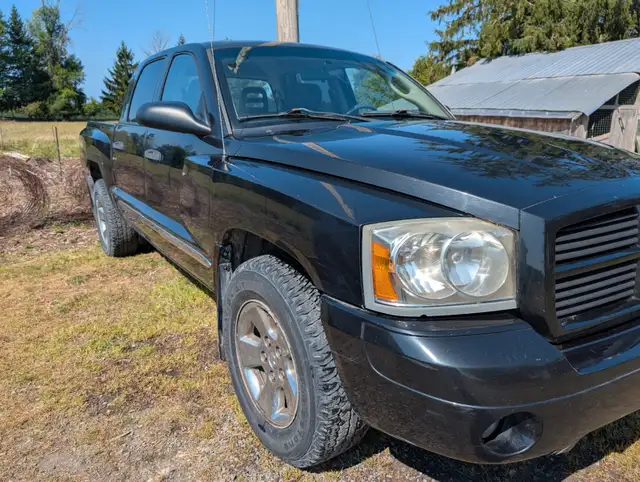 Dodge Dakota 2007 truck63351349763971122