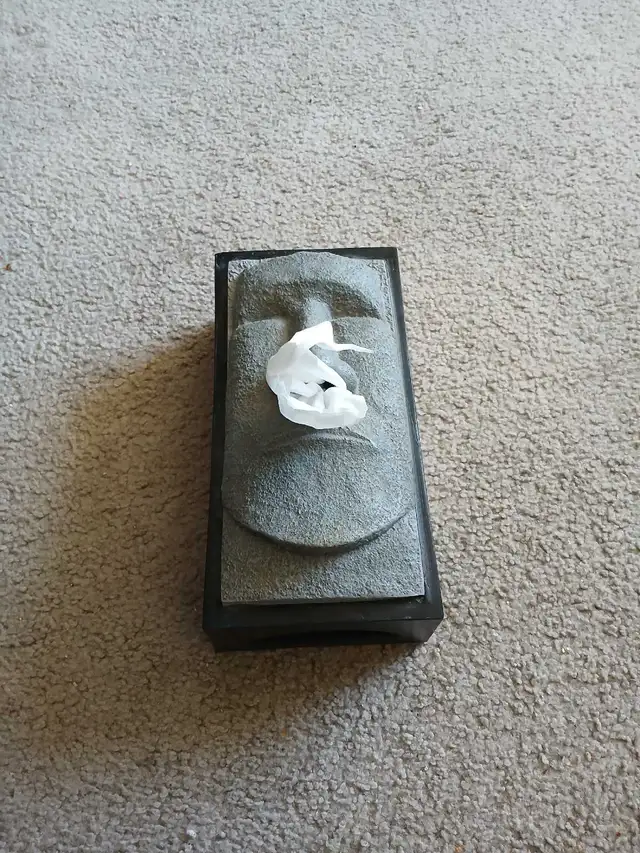 Easter Island Tissue Box Holder in Home Décor & Accents in Calgary - Image 3